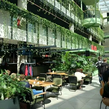 Loft Paupys